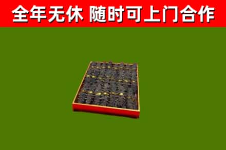 灵璧县回收海参